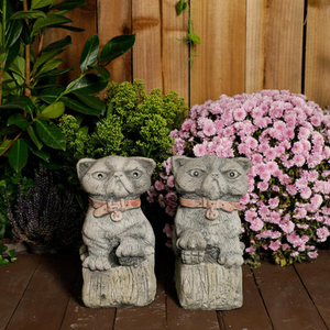 Cranky Cats Pair Stone Cast Garden Ornaments Animal Statues Set
