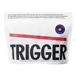 Trigger - kawa ziarnista Kenia Kirinyaga Kabare Fully Washed Filter 250 g