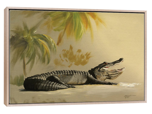 Gator In The Sand
