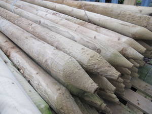 Diamond Pointed Fence Post 2400 x 73mm ø