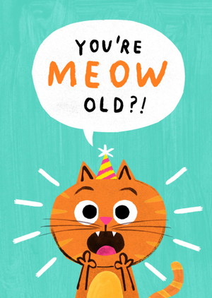 You're Meow Old Funny Illustrated Cat Birthday Card