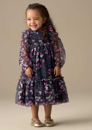 Cara Print Mesh Dress