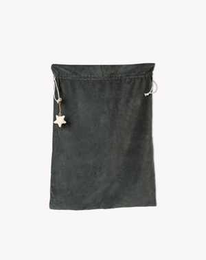 Hyde Christmas Sack Fern 