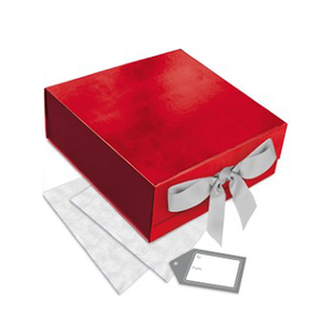 Red Present Box Set with Ribbon, Tissue Paper and Gift Tag 25cm
