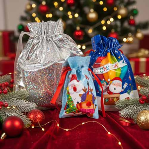 Assorted Santa Claus and Friends Festive Christmas Plastic Drawstring Gift Bags - Pack of 3