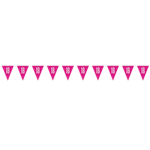 Hot Pink Glitz Age 18 Holographic Foil Pennant Bunting 274cm