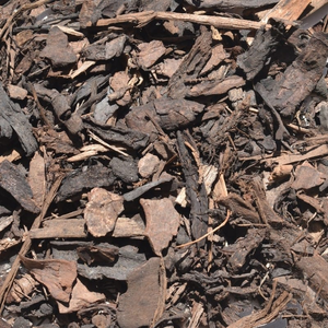 Ornamental Bark
