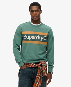 Core Logo relaxt gestreept sweatshirt met ronde hals