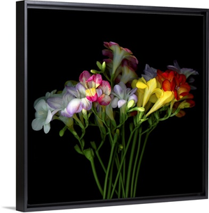 Freesia Bouquet
