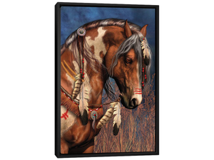 War Pony