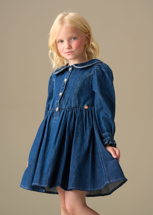 Paige Diamonte Embellished Denim Dress