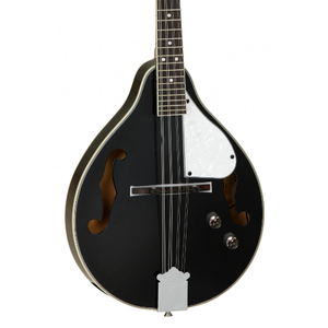 Tanglewood TWMTBKPE Union Series Mandolin - Black