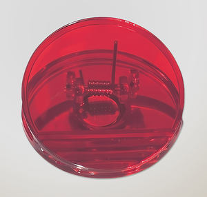 Round Magnetic Clip - Translucent Red 
