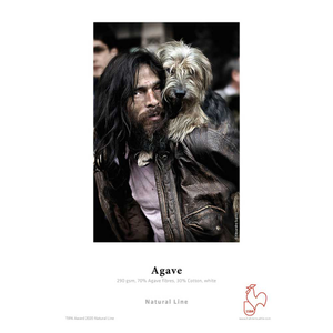 Hahnemühle Agave 290gsm A2 - 25 Shts 70% Agave 30% Cotton