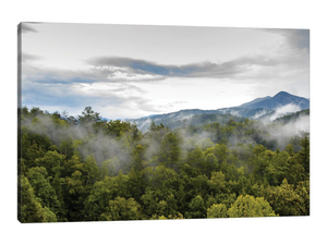 Great Smoky Mountains National Park