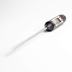 Digital LCD Thermometer