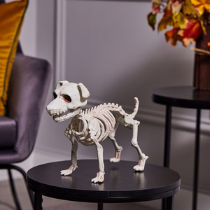 Schnauzer Dog Skeleton