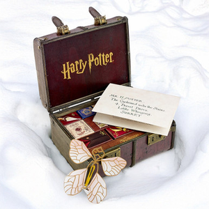 Harry Potter 24 Days Trunk Advent Calendar
