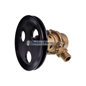 G21 G20 GT-40 Raw Water Pump RA057007 18830-0010 for Jabsco Sherwood Pleasurecraft Ford 5.0-Liter 5.8-Liter 302 351 CID