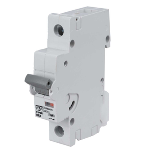 63A Single Pole 10kA B Curve MCB