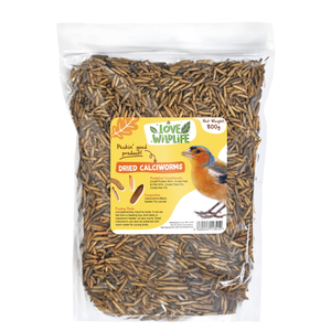 Love Wildlife Dried Calciworms 800g Refill