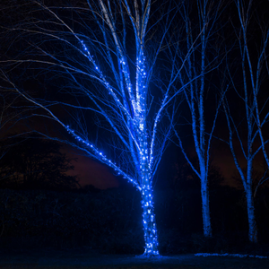 Guirlande Lumineuse Pro Connect IP67, 10m 100 LED Bleue Câble Noir Raccordable