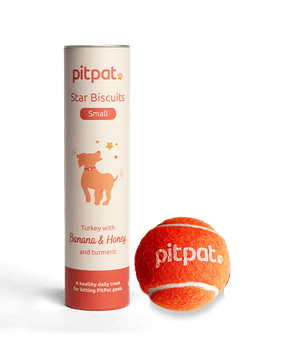 PitPat Stars and Tennis Ball Bundle