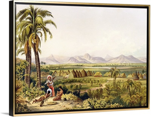Pirara and Lake Amucu, The Site of Eldorado, printed by Georges Barnard