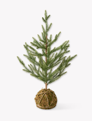 Moss Ball 60cm Mini Tree