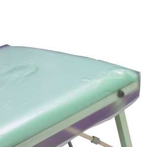 Hive PVC Protective Couch Cover