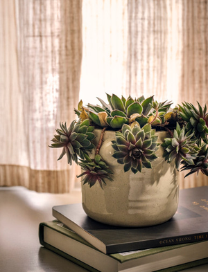 Milcombe Bobble Pot 12.5cm - Stoneware, Natural