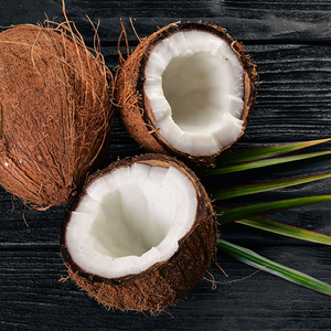Coconut Lip Balm Fragrance - 30g