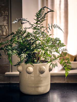 Milcombe Bobble Pot 16.5cm - Stoneware, Natural