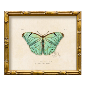 Vintage "Garden Friends" Art Print (2), Framed Butterfly