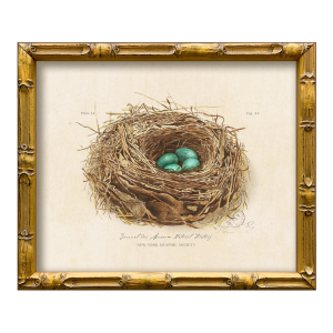 Vintage "Garden Friends" Art Print (5), Framed Nest