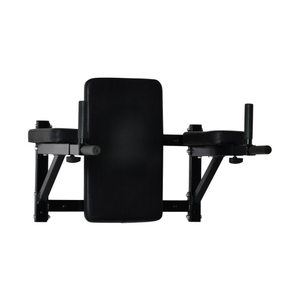 Bolt Strength Wall Mounted Dip Station / Leg Raise