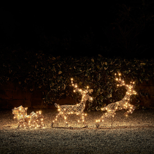 Solar Powered Studley Light Up Reindeer & Sleigh