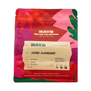 HAYB - kawa ziarnista Kenia Kiamugumo Washed Filter 250 g