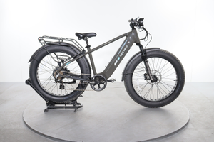 Lectric XPeak