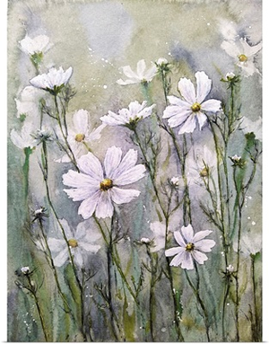 Cosmos Flowers IX