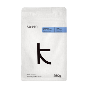 Kaizen - kawa ziarnista Costa Rica Marvin Barrantes Black Honey Espresso 250 g