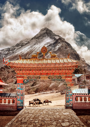 Santal du Nepal (Gift)