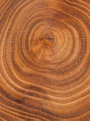 Aroha Santalosa (Gift)