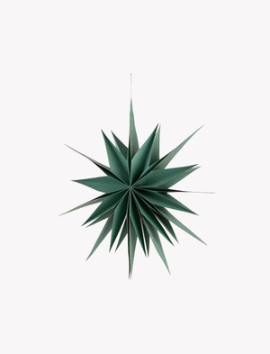 Maddox Classic Christmas Star Small Rosemary