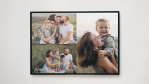 Framed Canvas