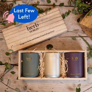 Winter Candle Trio by Herb Dublin