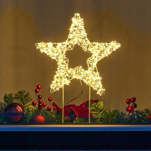 Warm White Star Silhouette Light