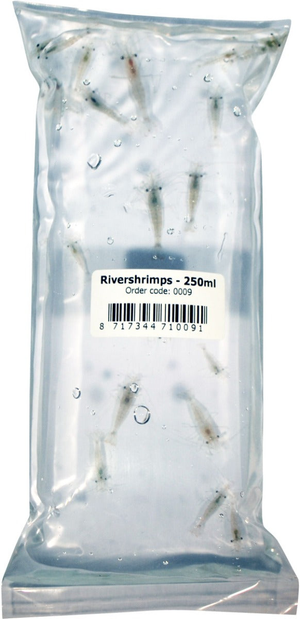 Aquadip Live River Shrimp Pouch (250ml)