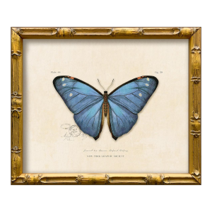 Reproduction Vintage "Garden Friends" Art Print (7) Blue Butterfly