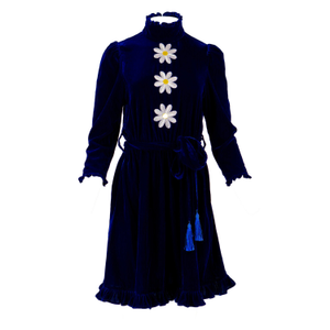 Daisy Velvet Mini Dress (S)
